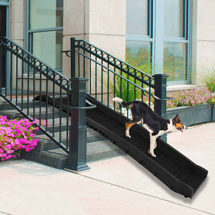 Tucker Murphy Pet™ 62” Pet Ramp & Reviews Wayfair